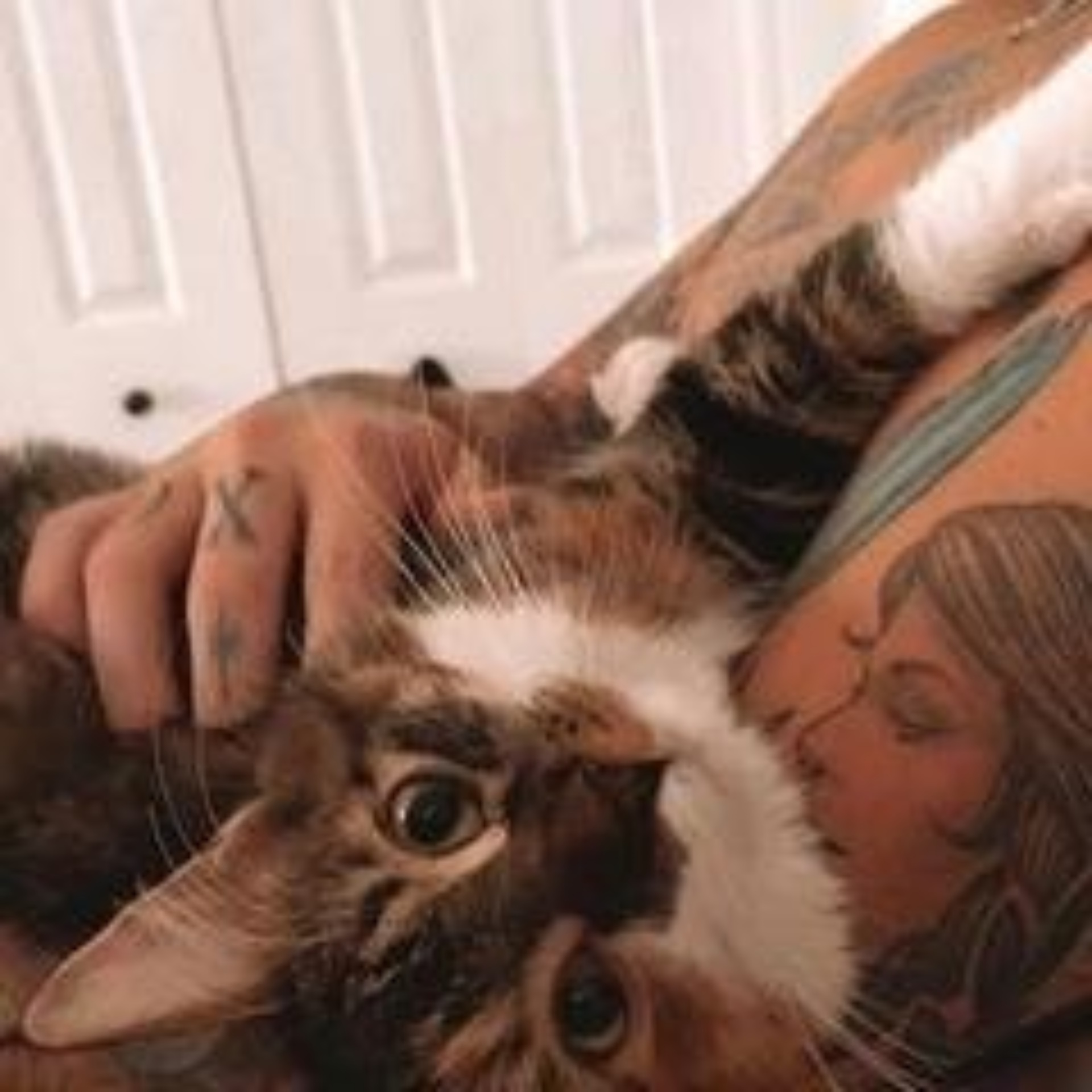 Үлкен сиськи бар қыз еркекке мастурбация жасайды