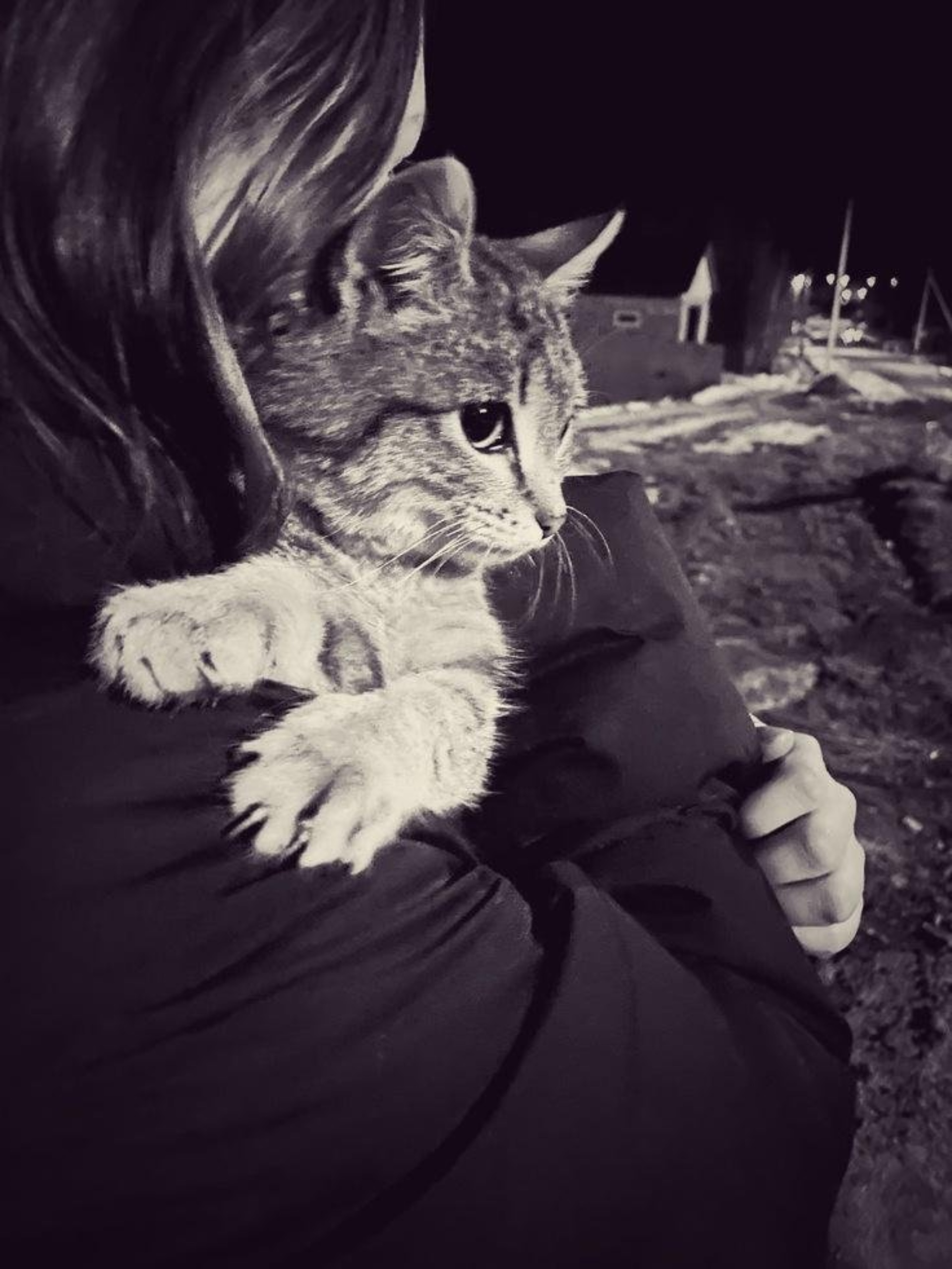 Утяшева Лайсанның жалаңаш суреті