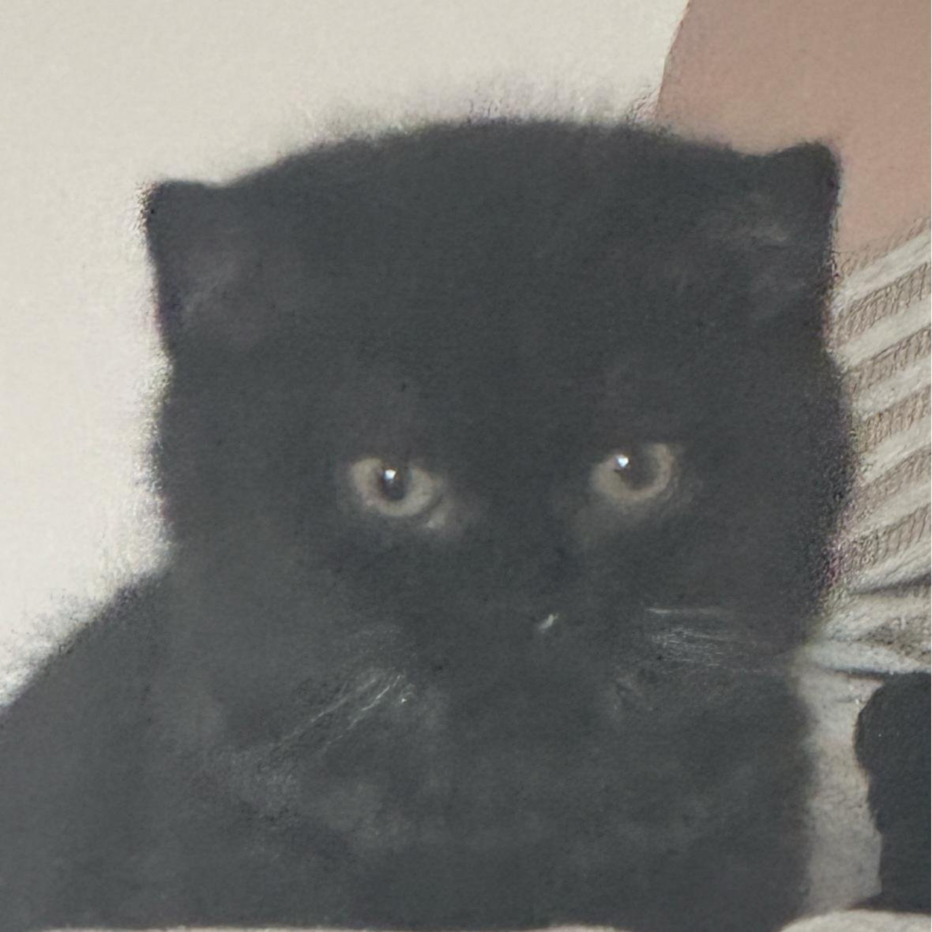 Ешектегі мас қыздар