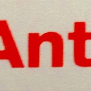 Anton Ant