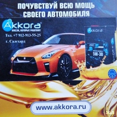 Днс Салехард Телефон Магазина Днс Салехард Телефон Магазина