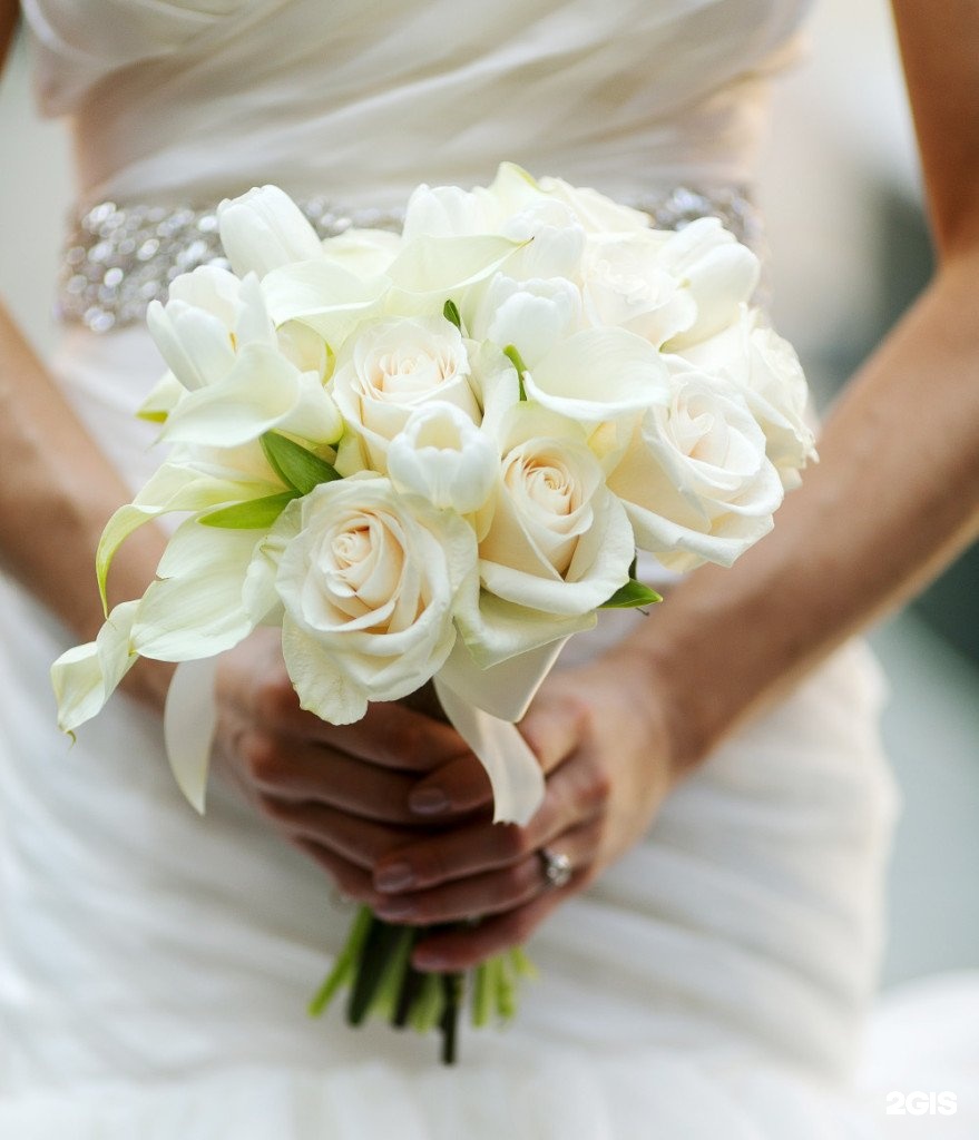 Изображение организации