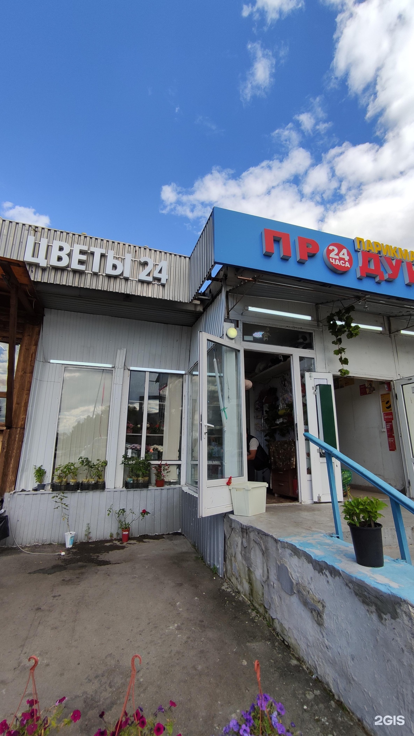 Изображение организации