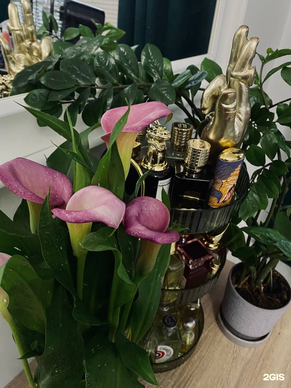 Изображение организации