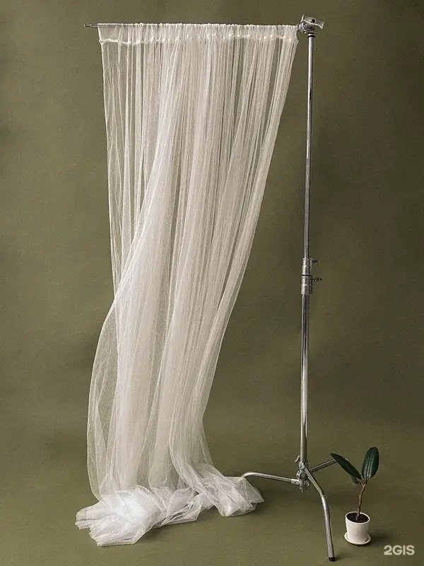 Изображение организации