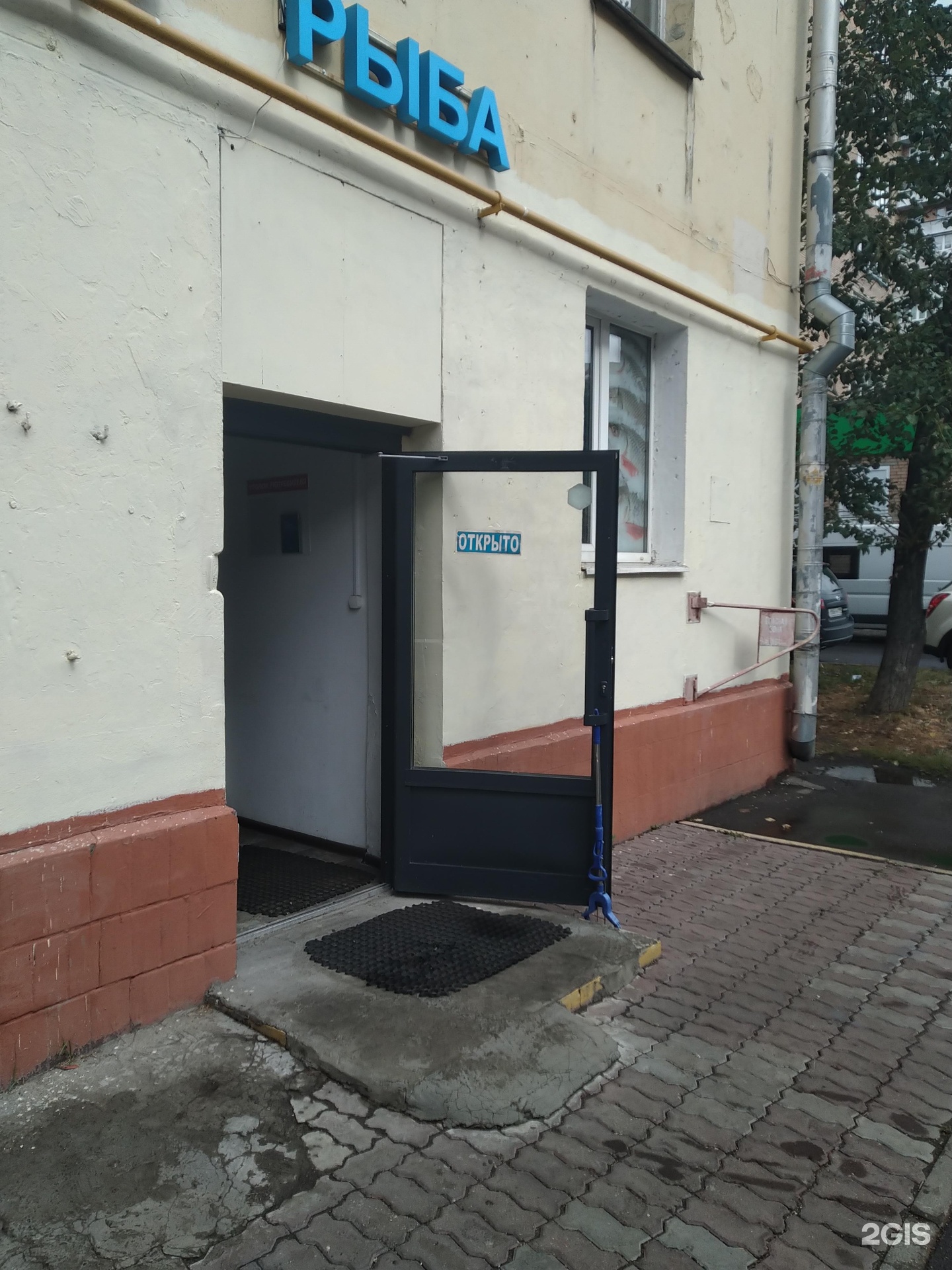 Изображение организации