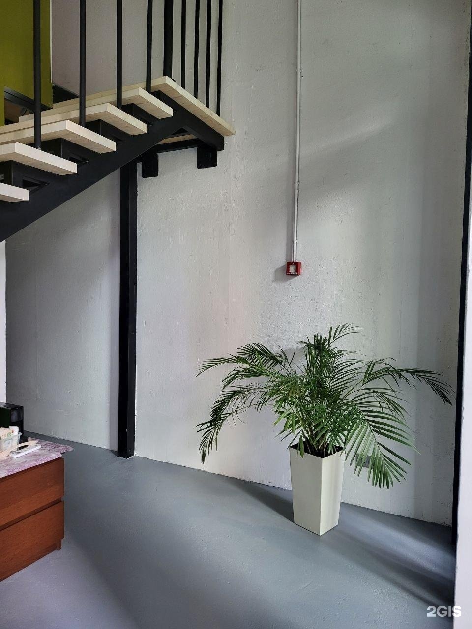 Изображение организации