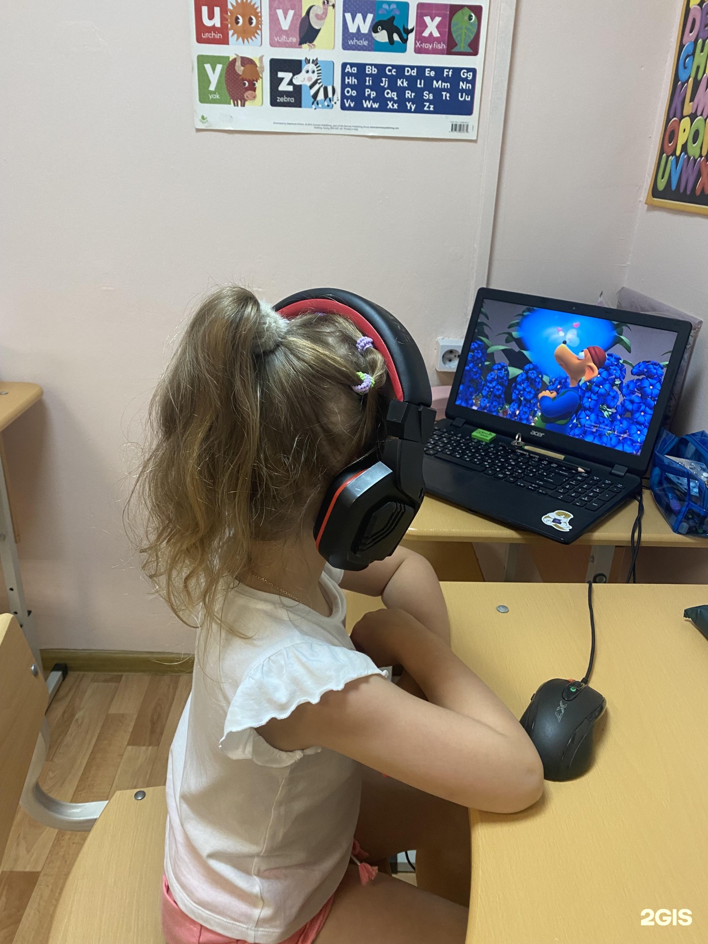 Изображение организации