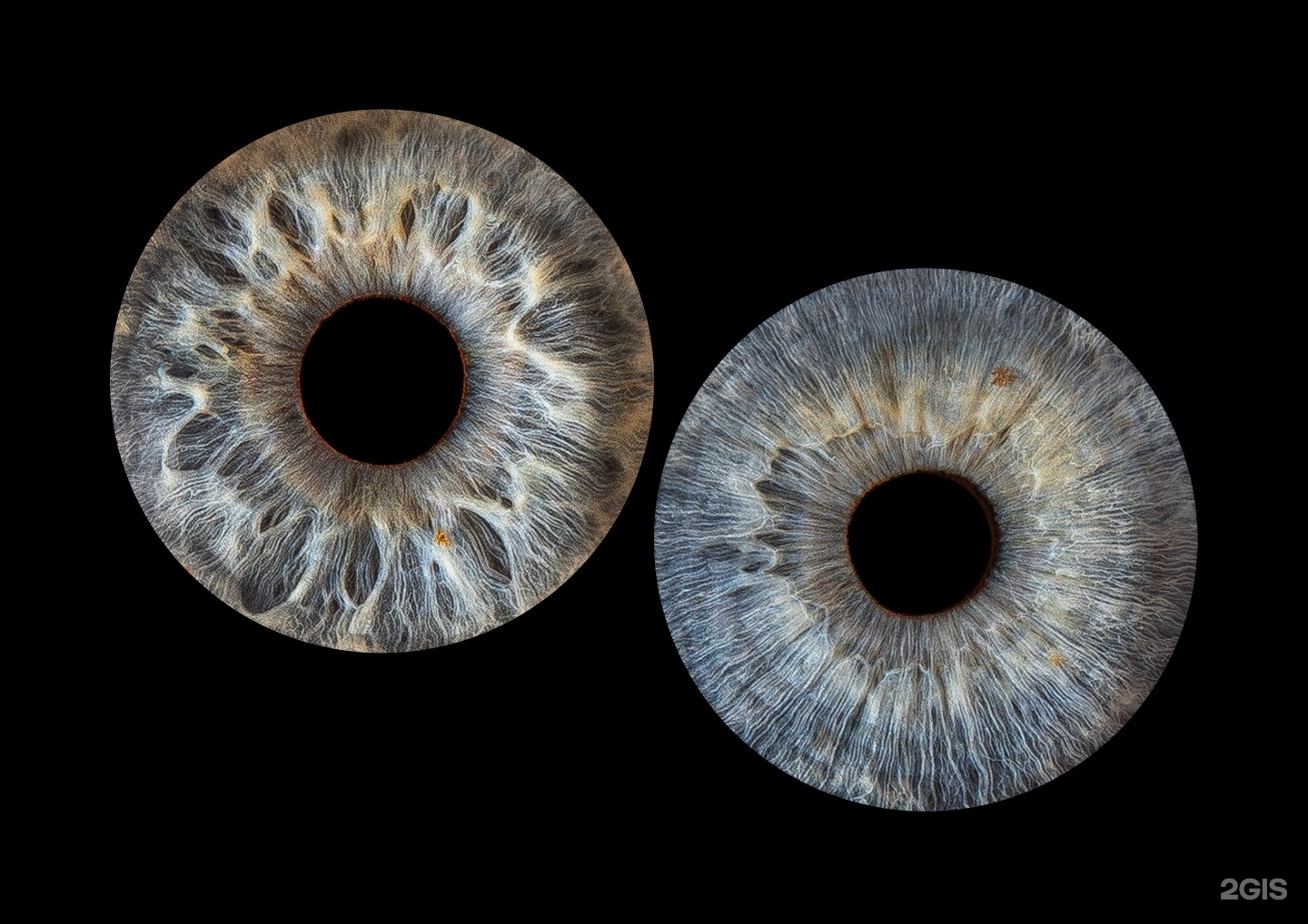 Изображение организации