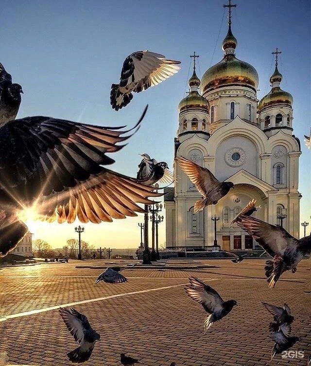 Восторг