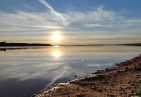 Глэмпинг Рузские Лужки в Московской области