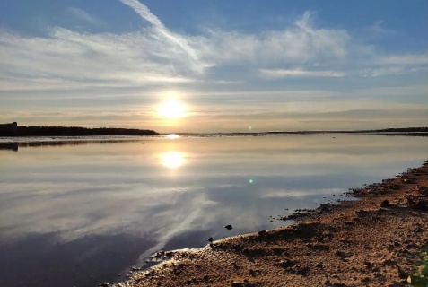 дома отдыха "Лужки": Глэмпинг Рузские Лужки