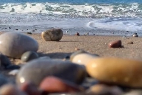 Находка: Гостевой дом ЭкоДом