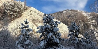 Красноярск: Турбаза Базаиха river