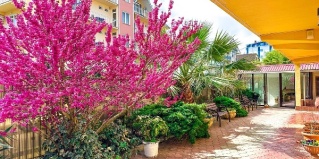 Сириус: Коттедж Морской бриз by Sun City Hotels