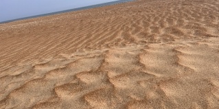 Андреевка: Коттедж Сафари