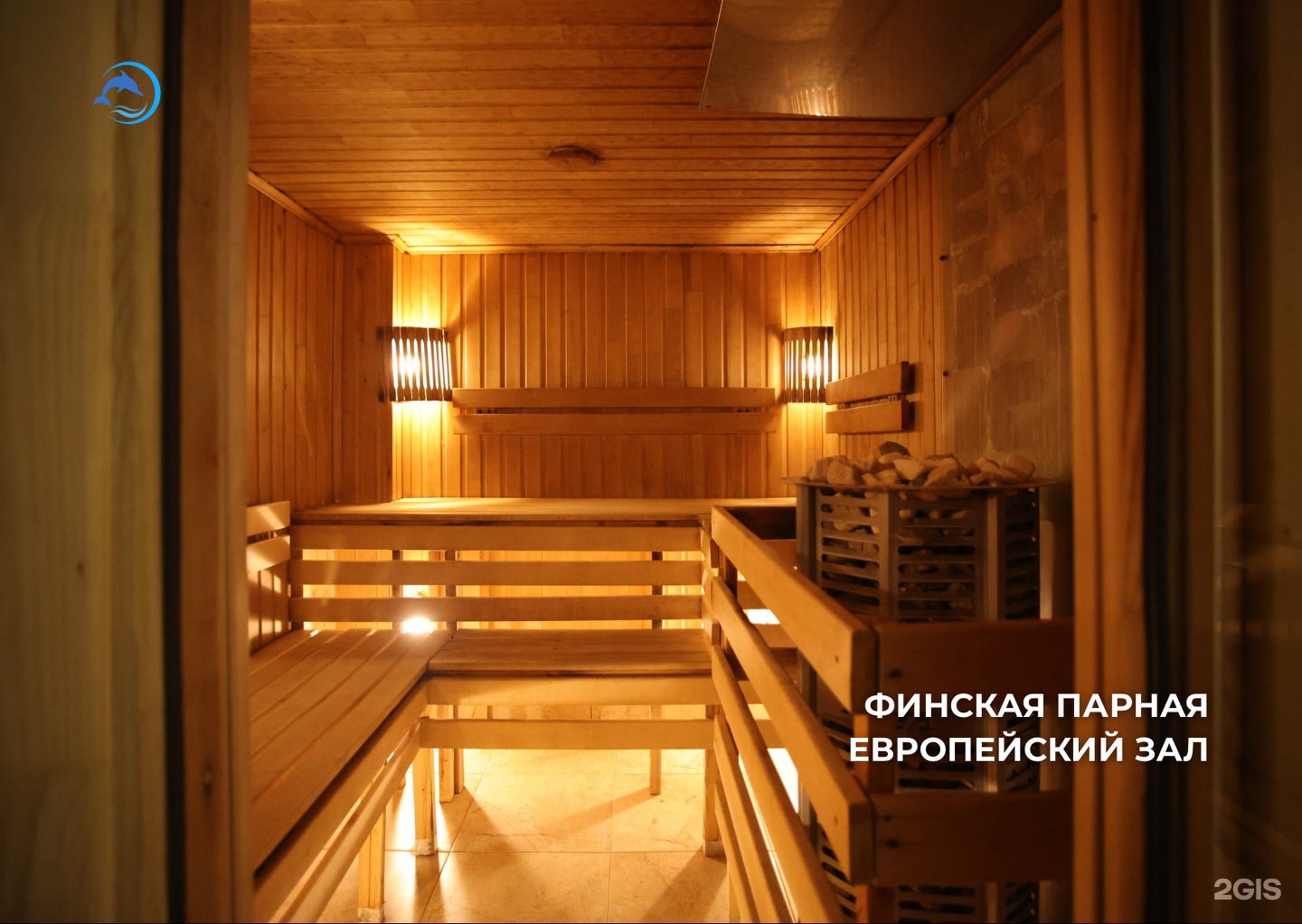 Дельфин