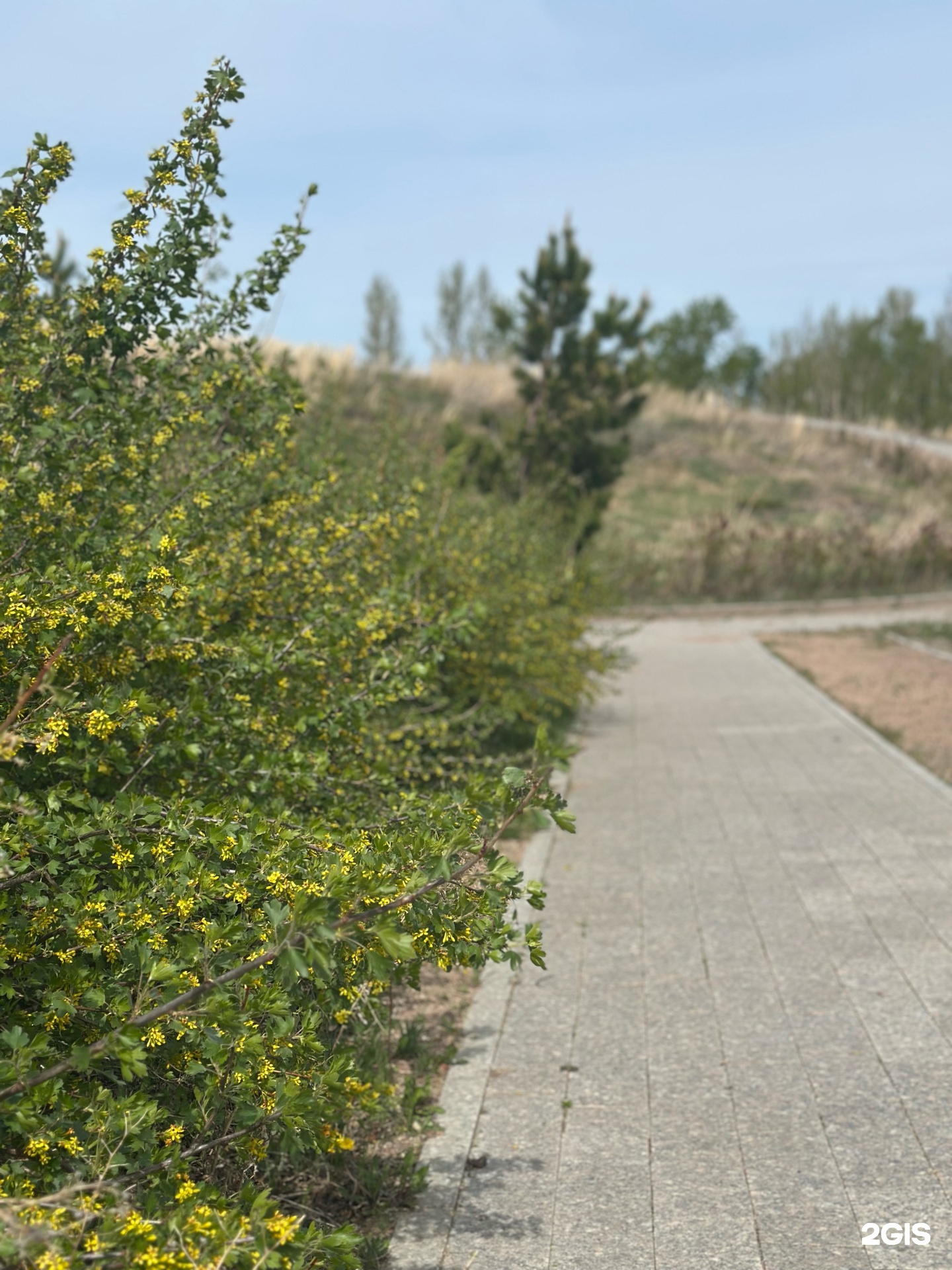 Aqbura park