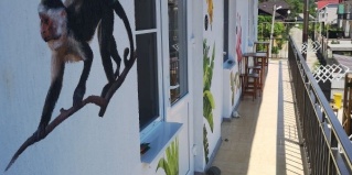 Сочи: Гостевой дом Тропики