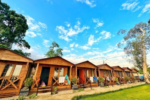 Псырцха: Гостевой дом Виктория