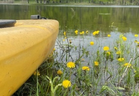 Кемпинг Пискалы в Самарской области