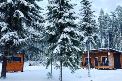 Выборг: Глэмпинг Vyborg Bay