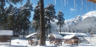 Архыз: Турбаза Сосновый рай