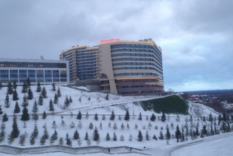 Уфа: Отель Hills Garden