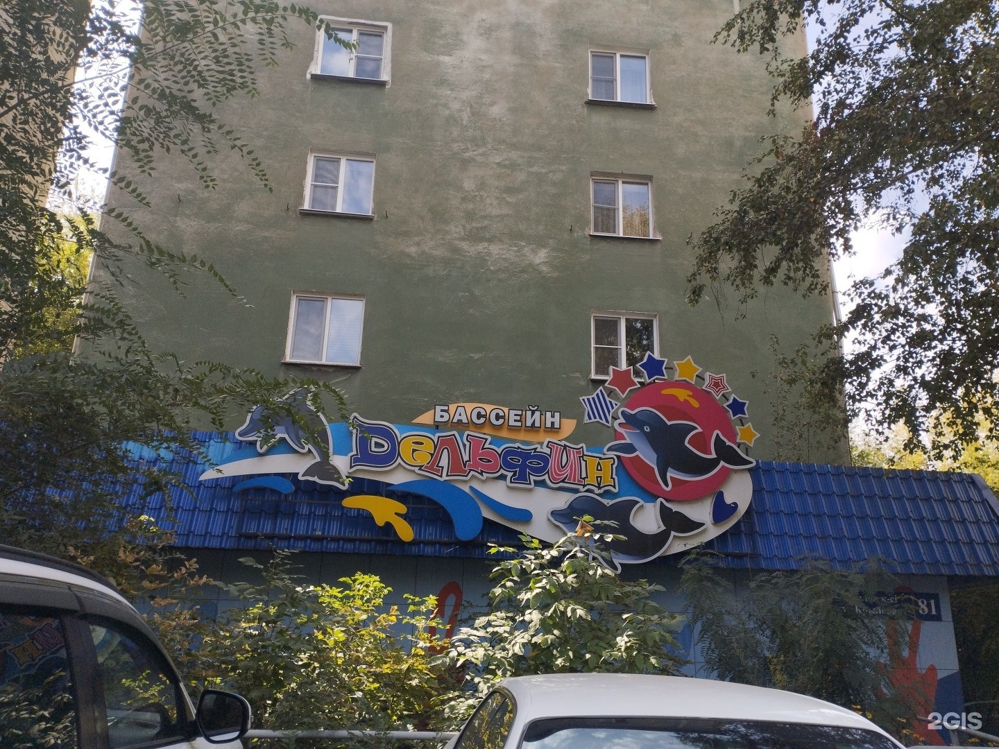 Дельфин