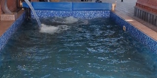 Ессентуки: Коттедж Круглогодичный тёплый бассейн