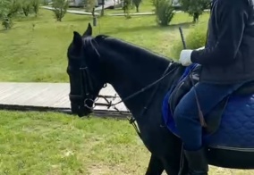 Глэмпинг TheGarden в Ставропольском крае