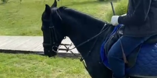 Верблюдогорка: Глэмпинг TheGarden