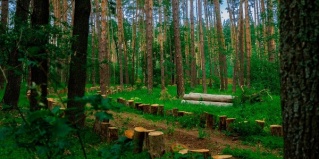 Рамонский район: Отель Папоротник