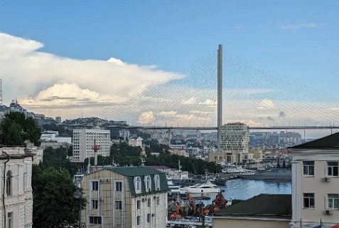 Владивосток: Отель Gray Hotel