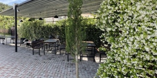 Лдзаа: Отель Мандарин