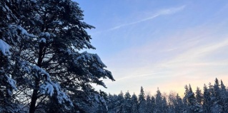 Пряжинский район: Турбаза Harland Village